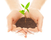 accompagnement du changement